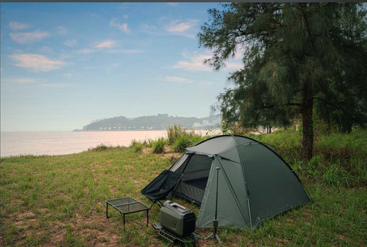 Camping Trips